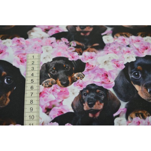 �kotex bomulds jersey m/Gravhunde