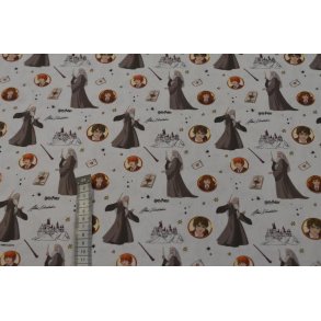 Harry Potter Dumbledore Team