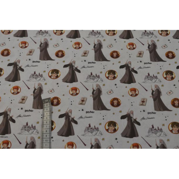 Harry Potter Dumbledore Team