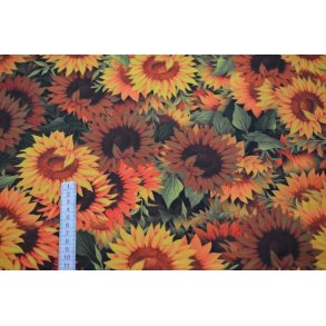 �kotex Modal Bomulds Jersey m. solsikke                                                                               