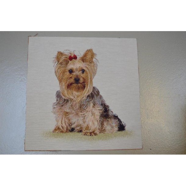 Gobelin stykke, Yorkshire terrier