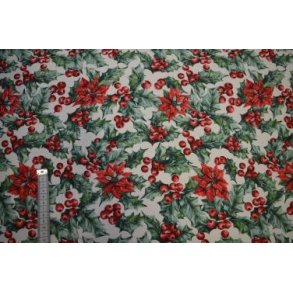 Canvas, Kristtj�rn