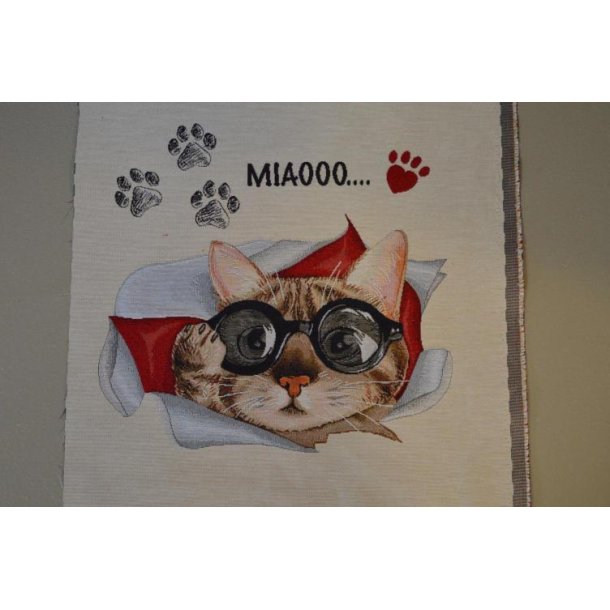 Pude/taske stykke, Kat