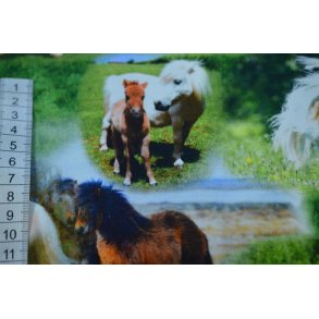 �kotex bomulds jersey m/Shetlands pony