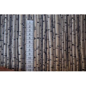 Tr�stammer brunlig