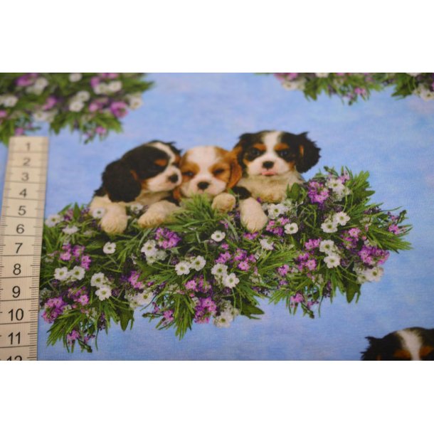 �kotex bomulds jersey m/Hunde