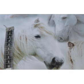 �kotex bomulds jersey m/Heste