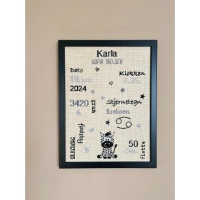 F�dselsminde Zebra