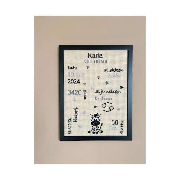 F�dselsminde Zebra