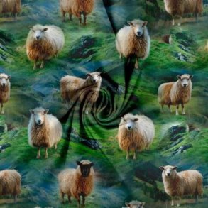 �kotex bomulds jersey, F�r