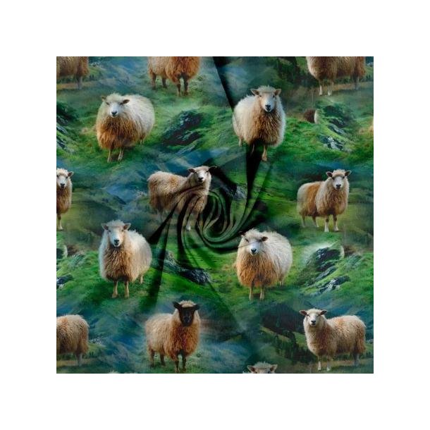 �kotex bomulds jersey, F�r